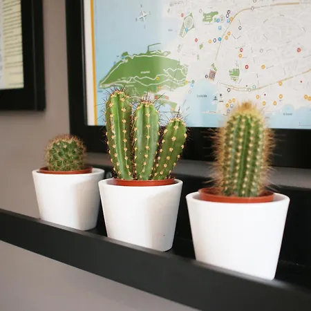 Lux Anya - Private Garden & Garage Space Appartamento